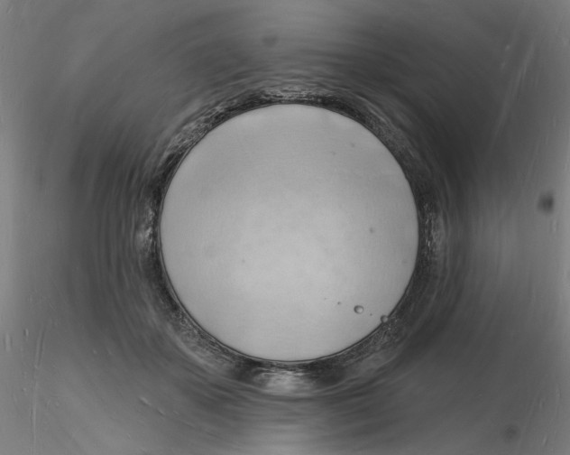 X0000116130507200912211718