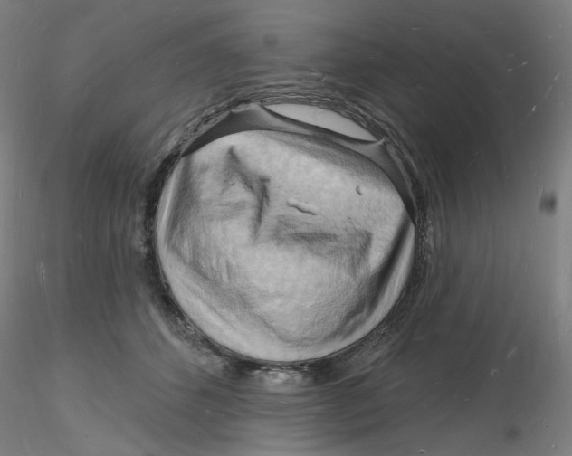 X0000116130512200912211718
