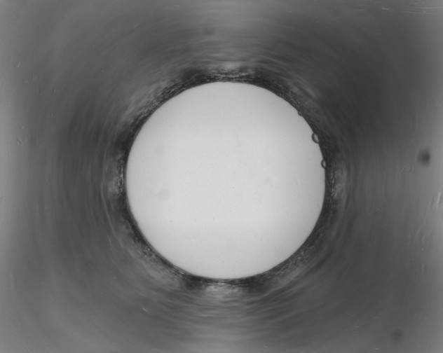 X0000116130515200912211718
