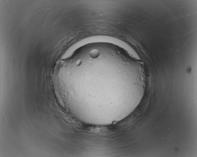 X0000116130517200912211718
