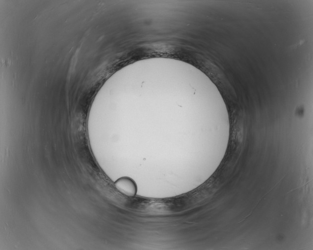 X0000116130518200912211718