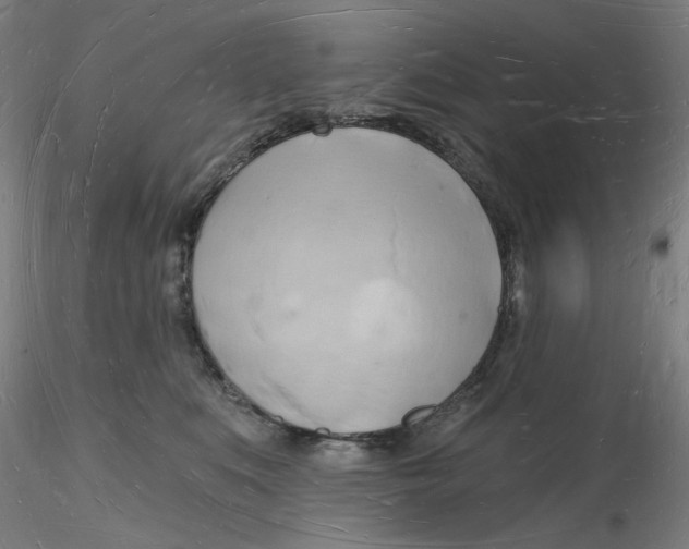 X0000116130519200912211718