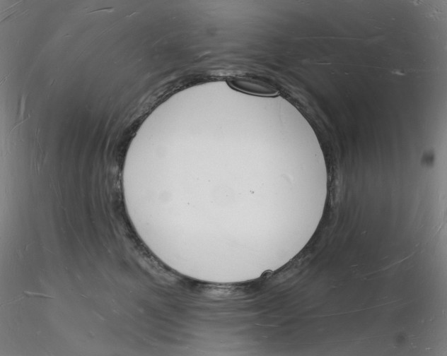 X0000116130521200912211718