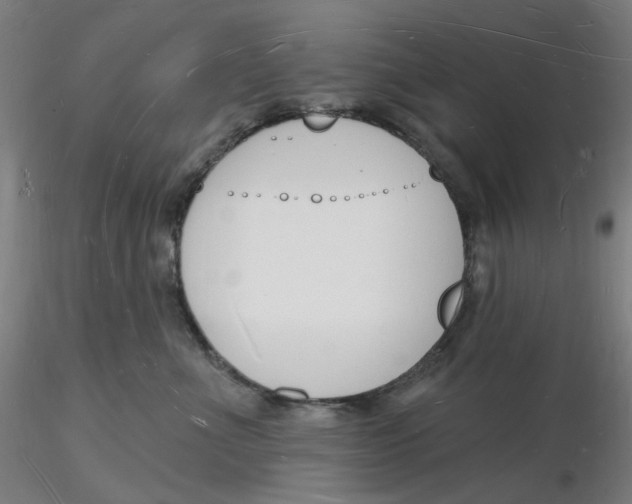 X0000116130523200912211718