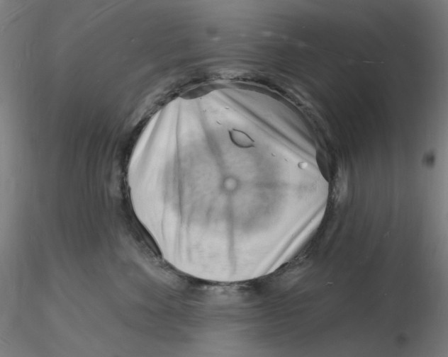 X0000116130524200912211718