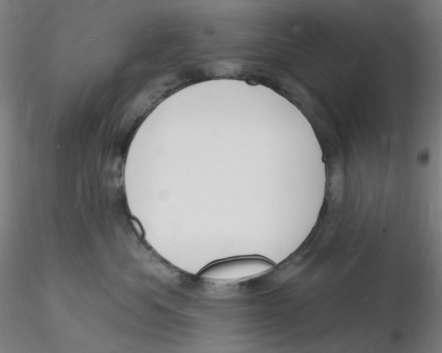 X0000116130525200912211718