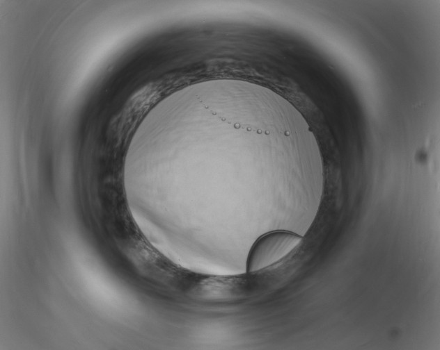 X0000116130526200912211718