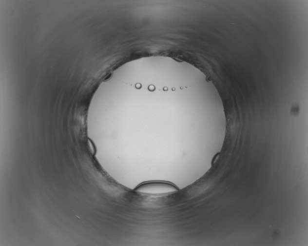X0000116130527200912211718