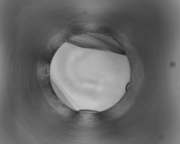 X0000116130528200912211718