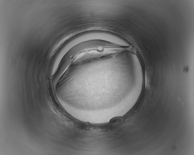 X0000116130531200912211717
