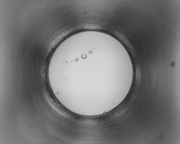 X0000116130533200912211717
