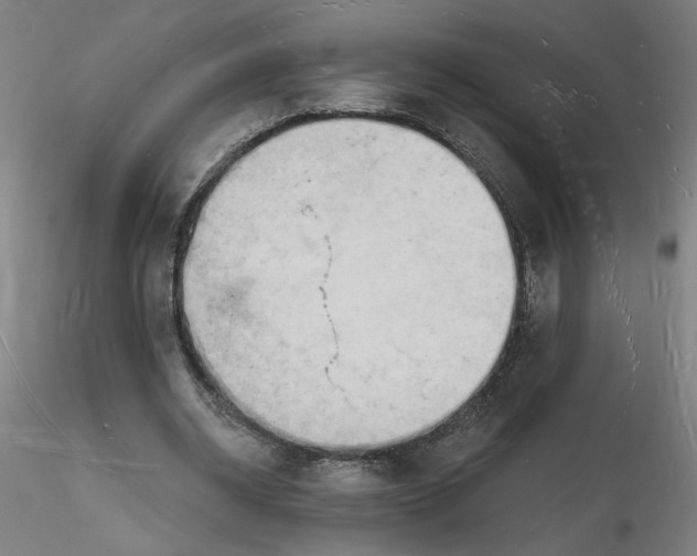 X0000116130534200912211717