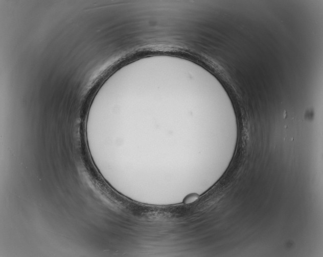 X0000116130535200912211717