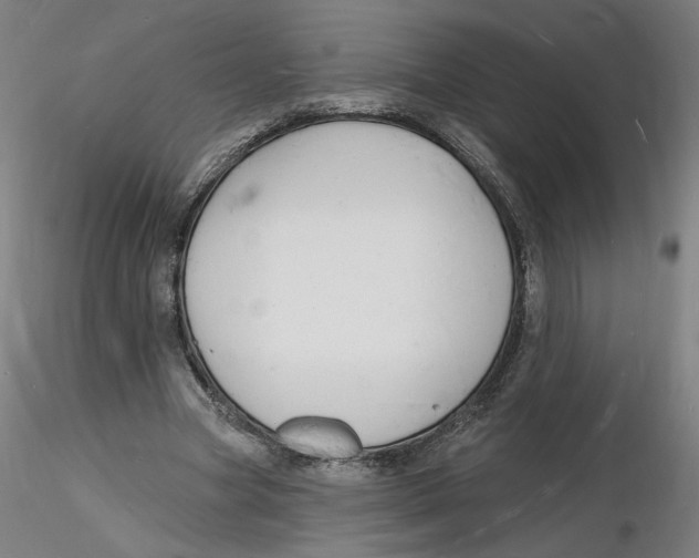 X0000116130537200912211717