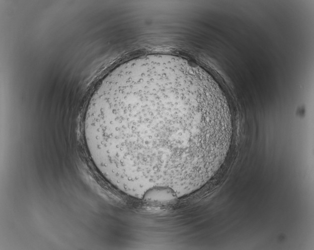 X0000116130541200912211717