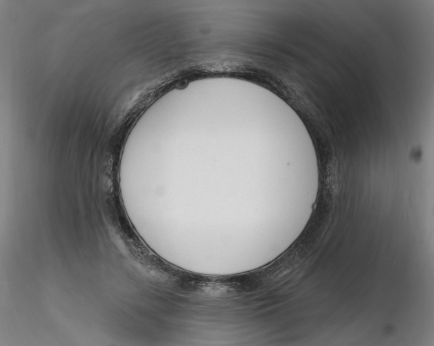 X0000116130547200912211717