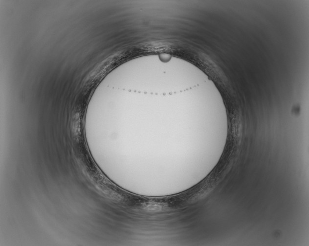 X0000116130549200912211717