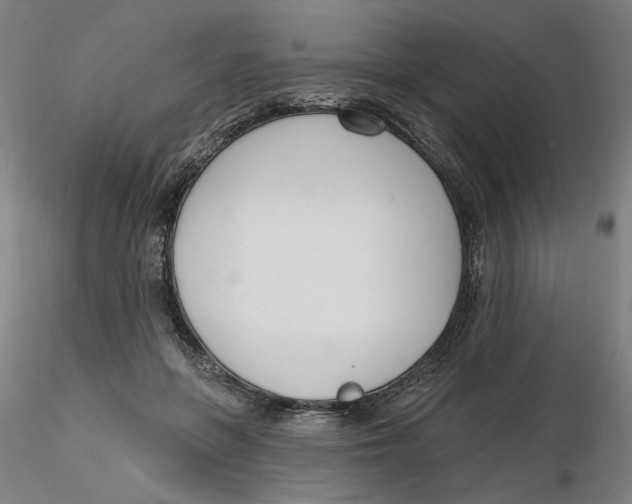 X0000116130551200912211717