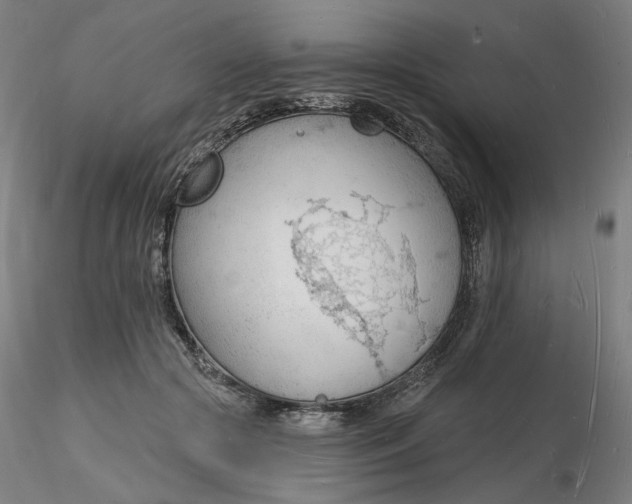 X0000116130553200912211717