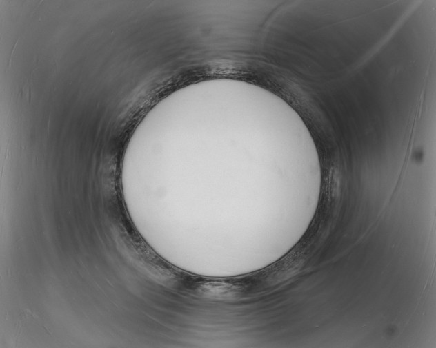 X0000116130557200912211717