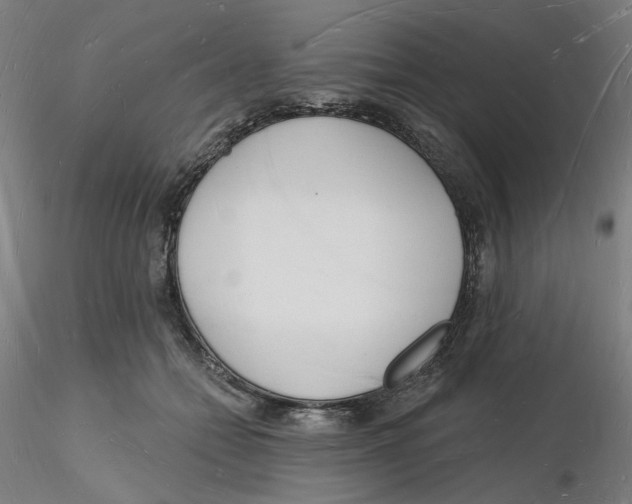 X0000116130558200912211717