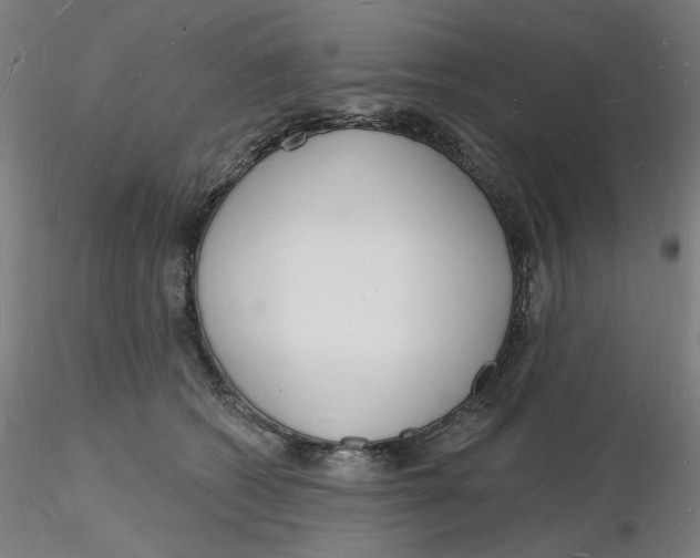 X0000116130562200912211717