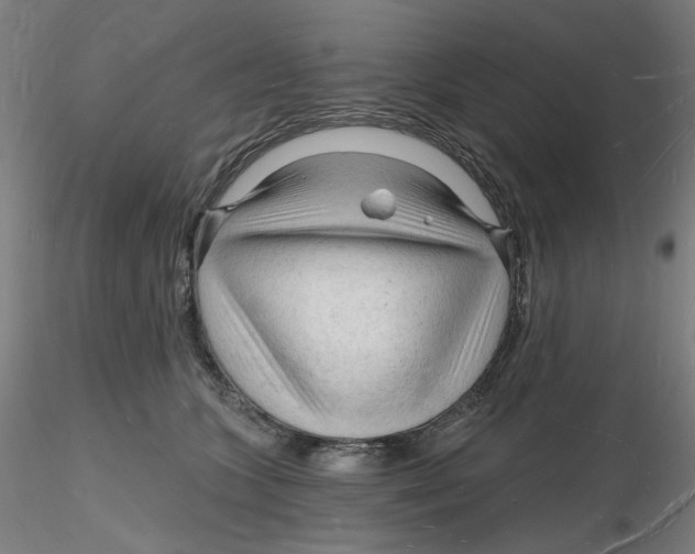 X0000116130563200912211717