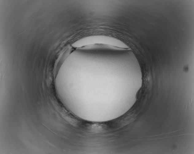 X0000116130566200912211717
