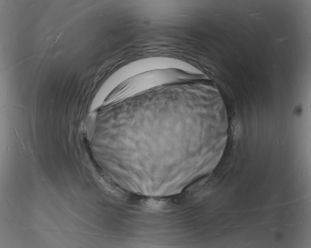 X0000116130570200912211717