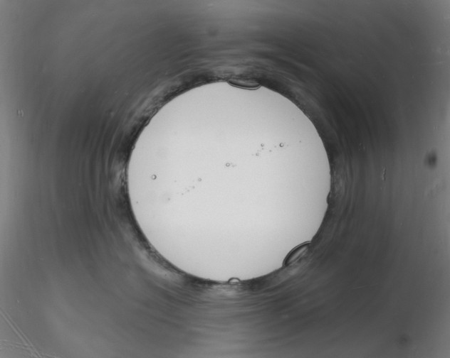 X0000116130574200912211718
