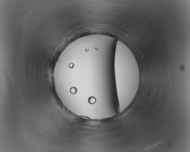 X0000116130575200912211718