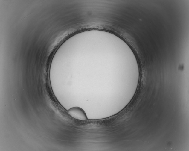 X0000116130578200912211717