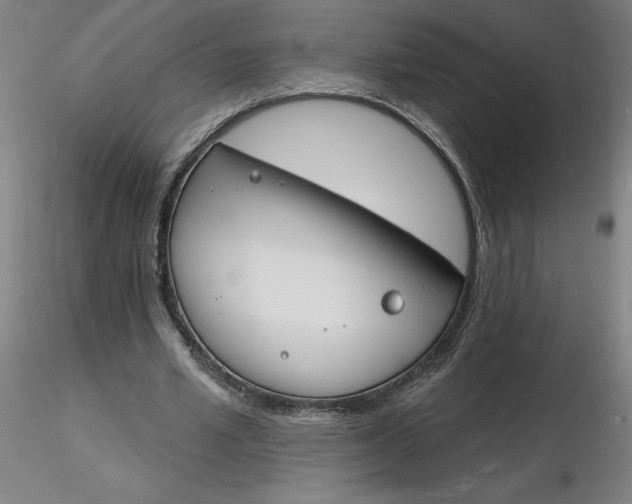 X0000116130581200912211717