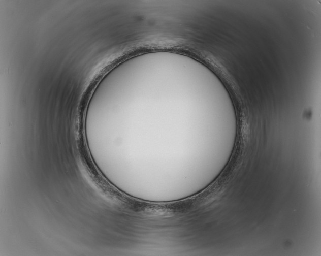 X0000116130582200912211717