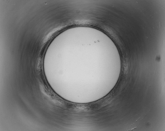 X0000116130583200912211717