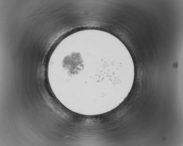 X0000116130584200912211717