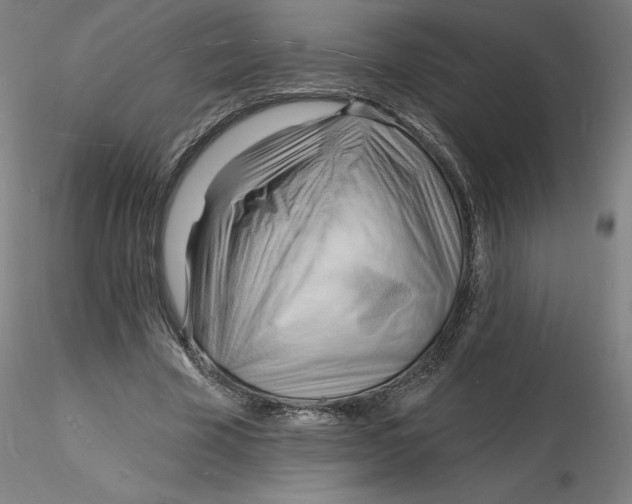 X0000116130585200912211717
