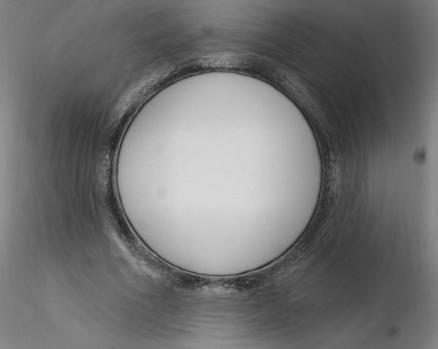 X0000116130586200912211717