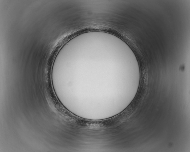 X0000116130587200912211717