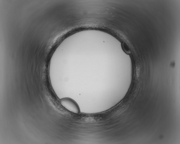 X0000116130588200912211717