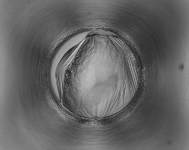 X0000116130589200912211717