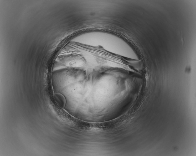X0000116130592200912211717