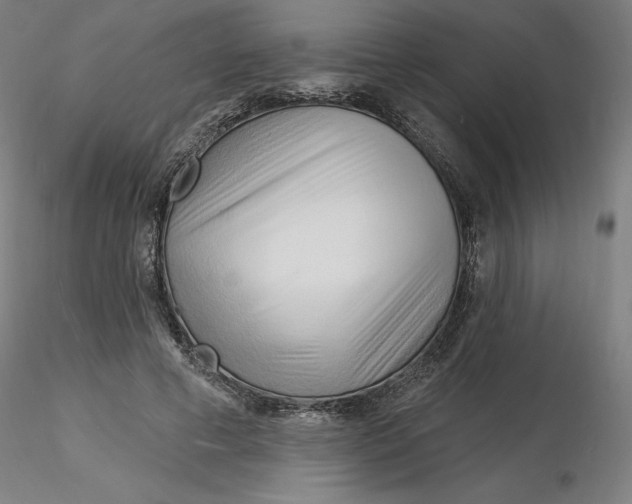 X0000116130593200912211717