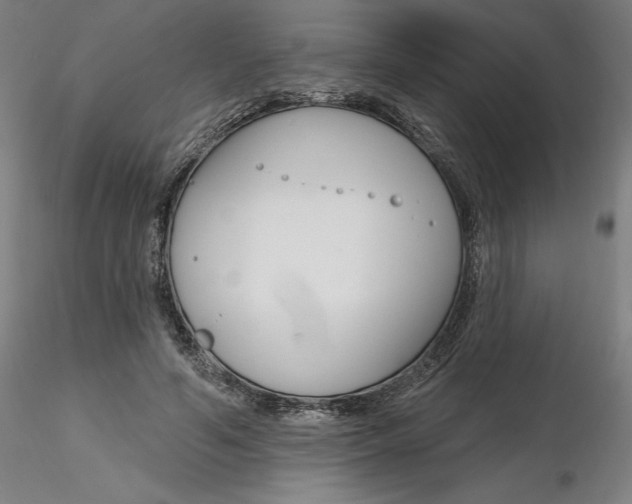 X0000116130594200912211717