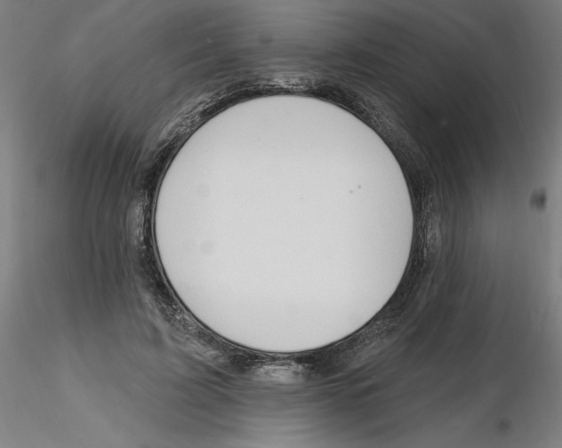 X0000116130595200912211717
