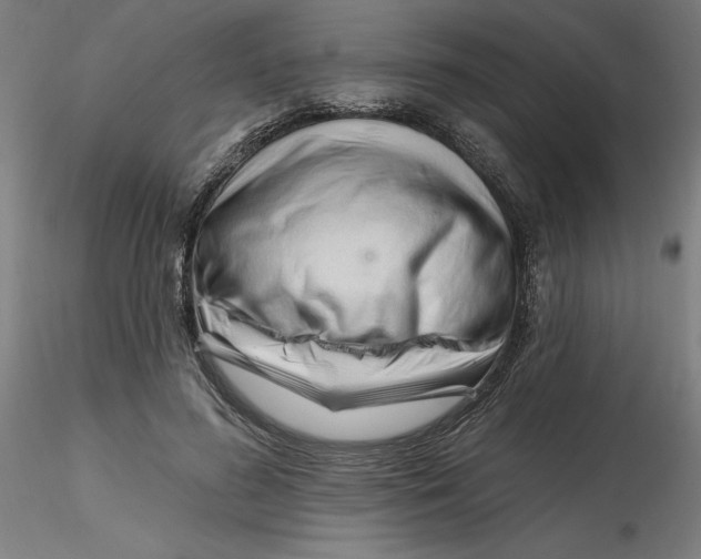 X0000116130596200912211717