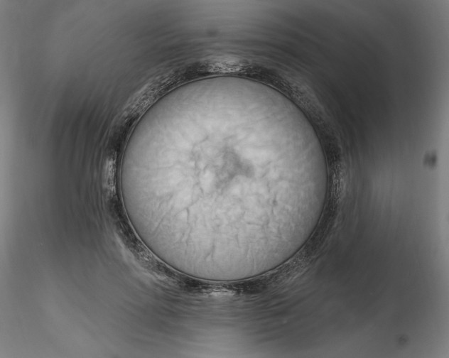 X0000116130598200912211717