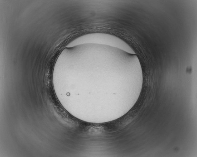 X0000116130599200912211717