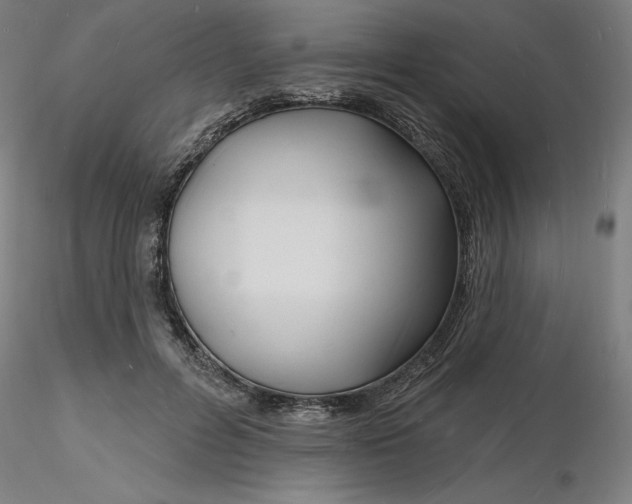 X0000116130600200912211717