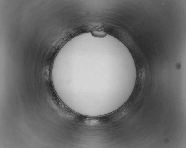 X0000116130602200912211717
